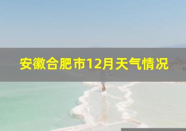 安徽合肥市12月天气情况