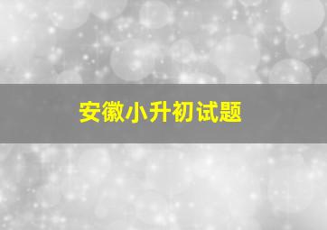 安徽小升初试题