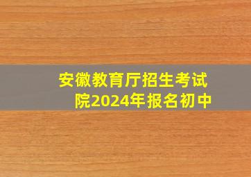 安徽教育厅招生考试院2024年报名初中