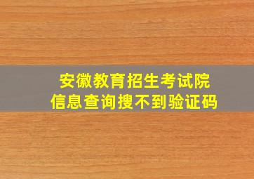 安徽教育招生考试院信息查询搜不到验证码