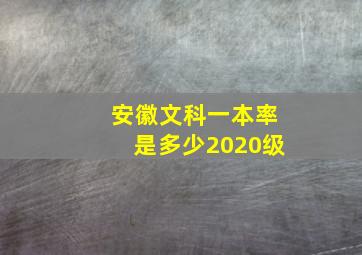 安徽文科一本率是多少2020级