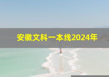 安徽文科一本线2024年