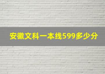 安徽文科一本线599多少分