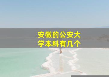 安徽的公安大学本科有几个