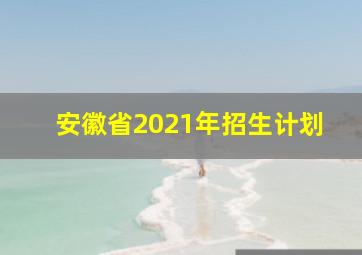 安徽省2021年招生计划