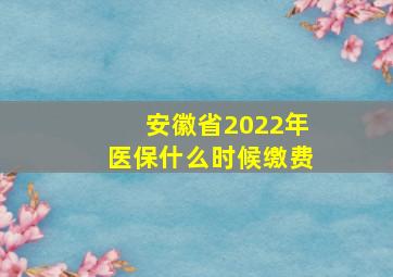 安徽省2022年医保什么时候缴费