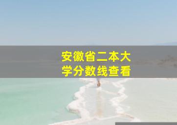 安徽省二本大学分数线查看