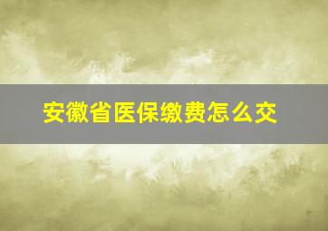 安徽省医保缴费怎么交