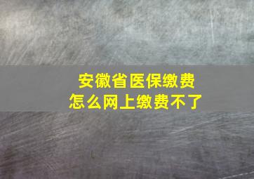 安徽省医保缴费怎么网上缴费不了