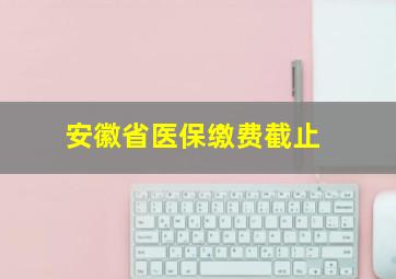 安徽省医保缴费截止