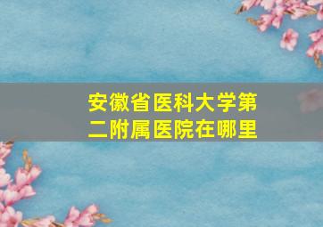 安徽省医科大学第二附属医院在哪里