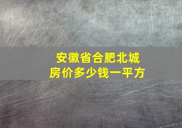 安徽省合肥北城房价多少钱一平方