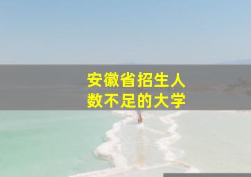 安徽省招生人数不足的大学