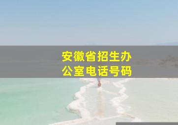 安徽省招生办公室电话号码