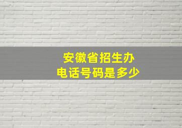 安徽省招生办电话号码是多少