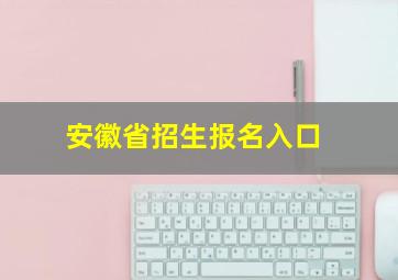 安徽省招生报名入口