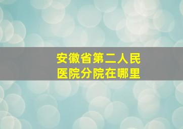 安徽省第二人民医院分院在哪里