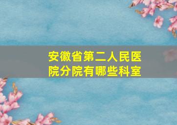 安徽省第二人民医院分院有哪些科室