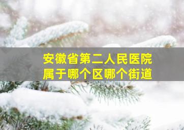 安徽省第二人民医院属于哪个区哪个街道