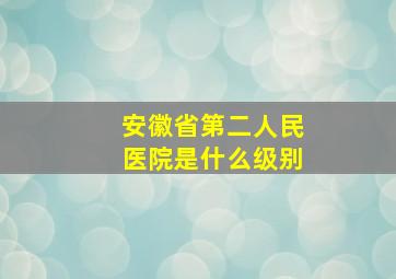 安徽省第二人民医院是什么级别