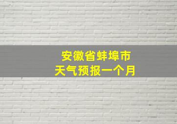 安徽省蚌埠市天气预报一个月