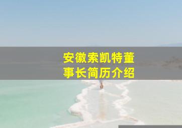 安徽索凯特董事长简历介绍