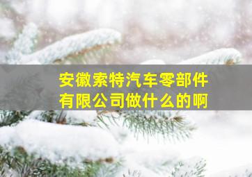 安徽索特汽车零部件有限公司做什么的啊