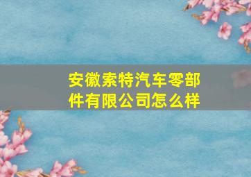 安徽索特汽车零部件有限公司怎么样