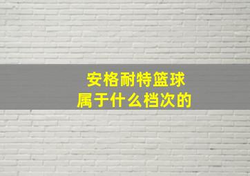 安格耐特篮球属于什么档次的