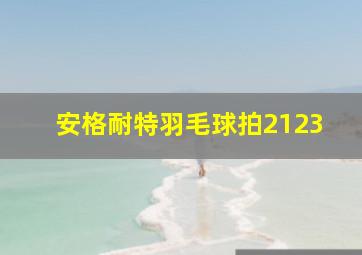 安格耐特羽毛球拍2123