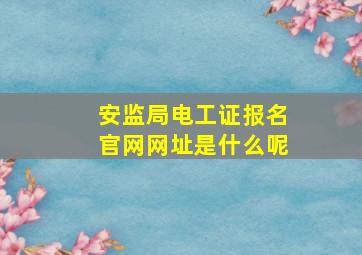 安监局电工证报名官网网址是什么呢