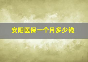 安阳医保一个月多少钱