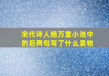 宋代诗人杨万里小池中的后两句写了什么景物