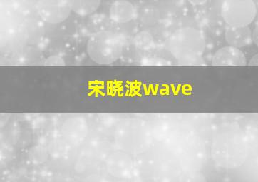 宋晓波wave