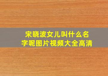 宋晓波女儿叫什么名字呢图片视频大全高清