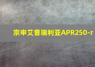 宗申艾普瑞利亚APR250-r