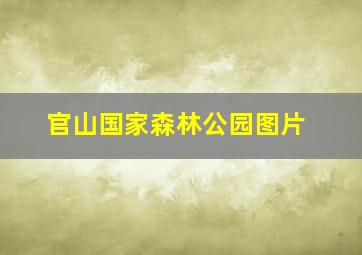 官山国家森林公园图片