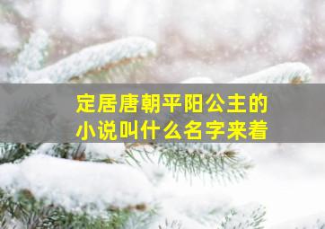 定居唐朝平阳公主的小说叫什么名字来着