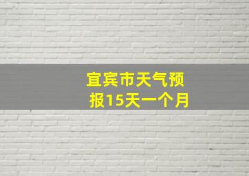 宜宾市天气预报15天一个月