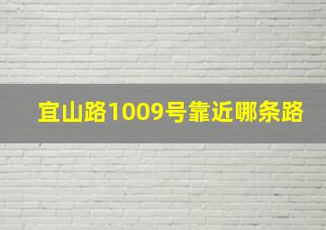 宜山路1009号靠近哪条路