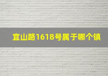 宜山路1618号属于哪个镇