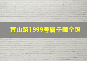 宜山路1999号属于哪个镇