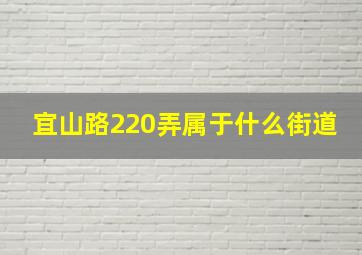 宜山路220弄属于什么街道