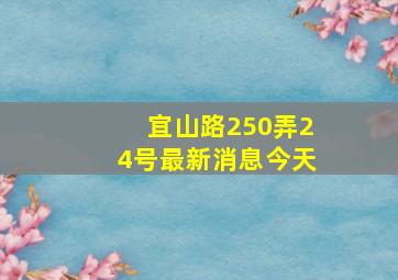 宜山路250弄24号最新消息今天