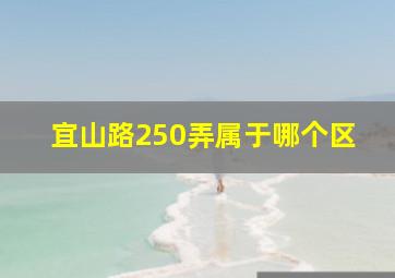 宜山路250弄属于哪个区