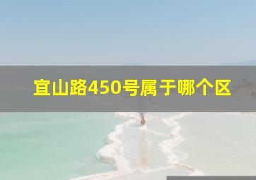 宜山路450号属于哪个区