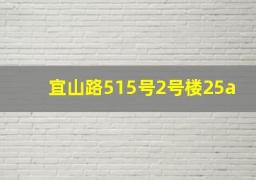 宜山路515号2号楼25a