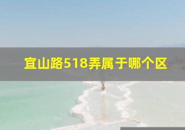 宜山路518弄属于哪个区