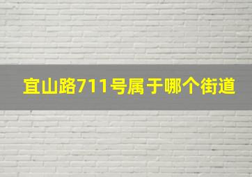 宜山路711号属于哪个街道