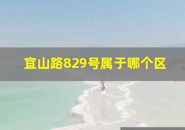 宜山路829号属于哪个区